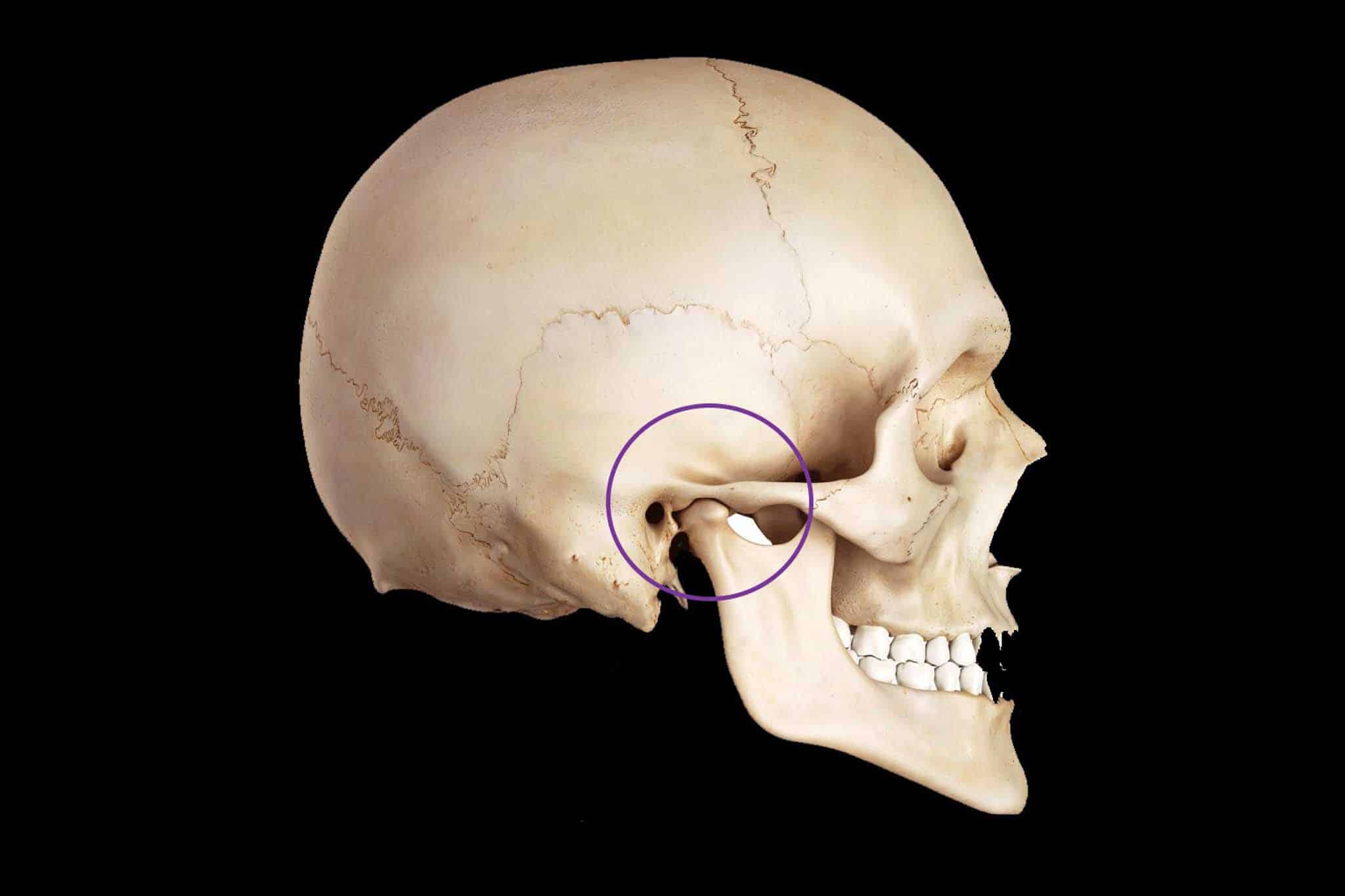 Ved Kolbotn Tannklinikk illustreres symptomer fra tyggemuskler og kjeveledd ved TMD – Kolbotn, Follo, Sofiemyr og Holmlia.