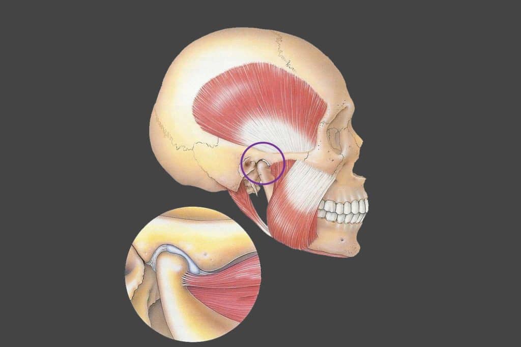 Hos Kolbotn Tannklinikk vises diskusområdet relatert til TMD-plager – Kolbotn, Follo, Greverud og Myrvoll.