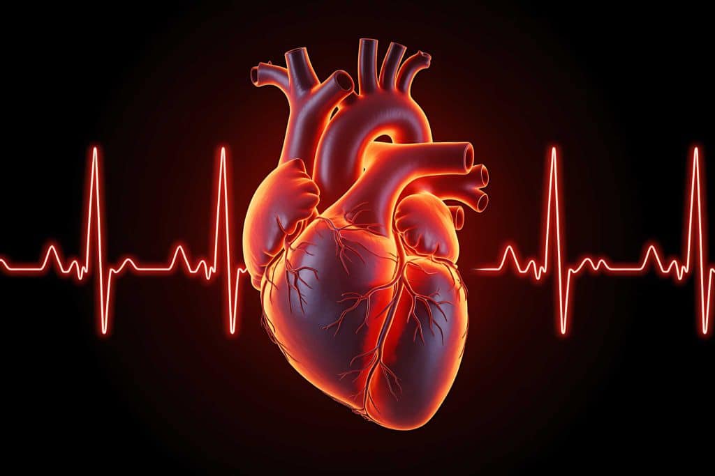 Hos Kolbotn Tannklinikk viser vi sammenhengen mellom tannhelse og hjerte- og karsykdommer – tannleger i Kolbotn, Follo, Oppegård og Vinterbro tilbyr trygg behandling for hjertepasienter.